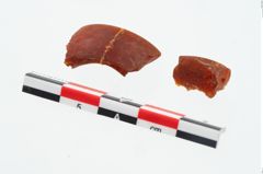 Foto von Bernsteinringperle (NHMW-PRAE-026089)